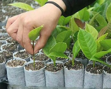 100 ين ياباني